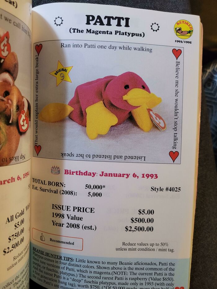 I Found An Old Beanie Baby Price Guide, And Each Beanie Has An Estimated 10-Year Future Value