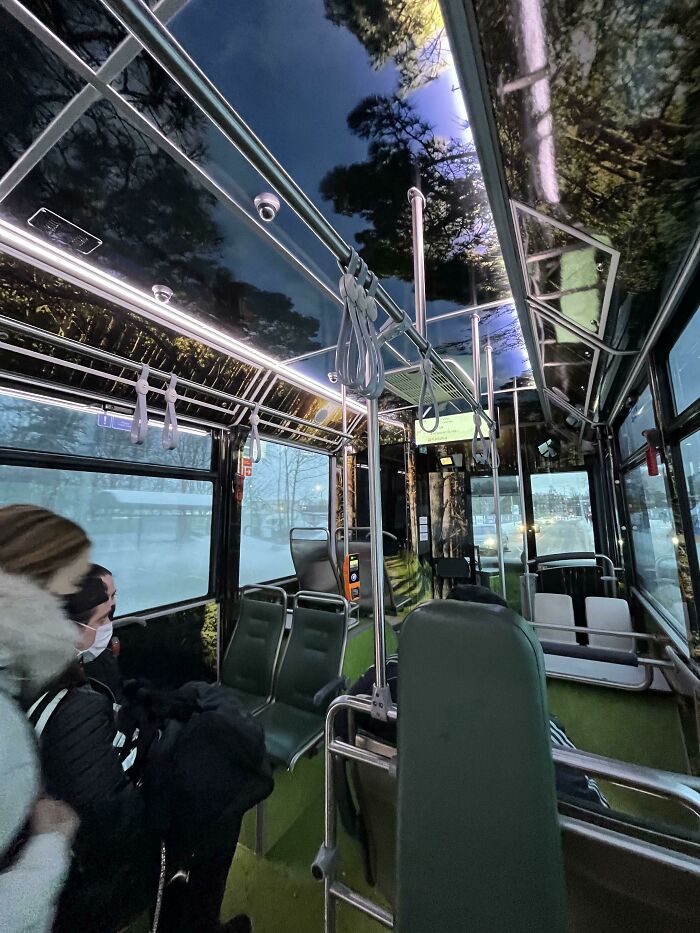 El interior del autobús está hecho para que parezca un bosque