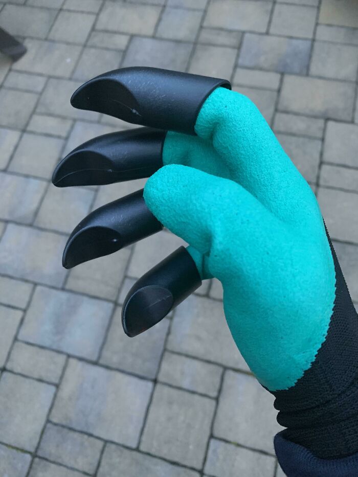 Mi kit de herramientas de jardinería venía con un guante de garra
