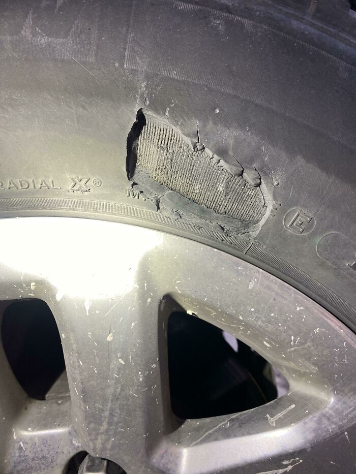 Consejo profesional: Si no estás seguro de la edad de tu neumático solo tienes que cortarlo y contar los anillos