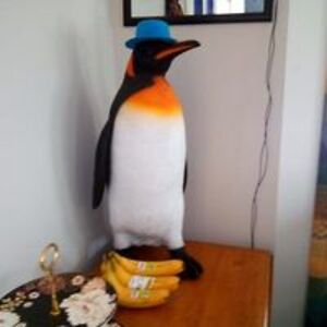 pasquaqobonkerjns avatar