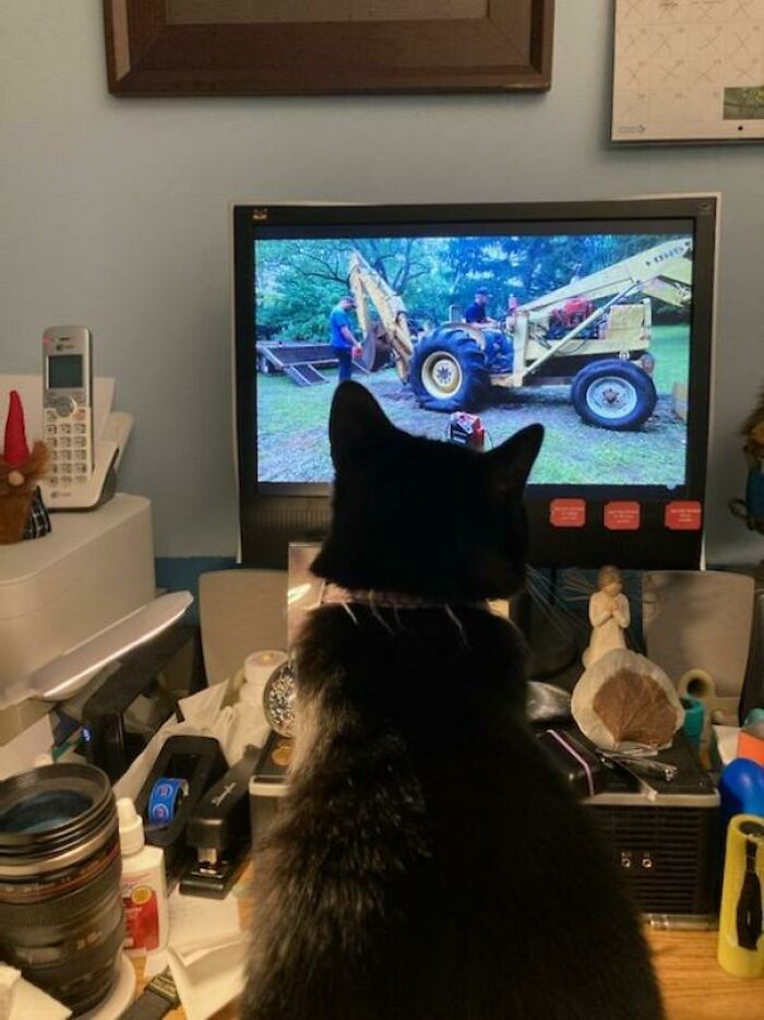 She Watches Farm Tractor Videos With My Husband