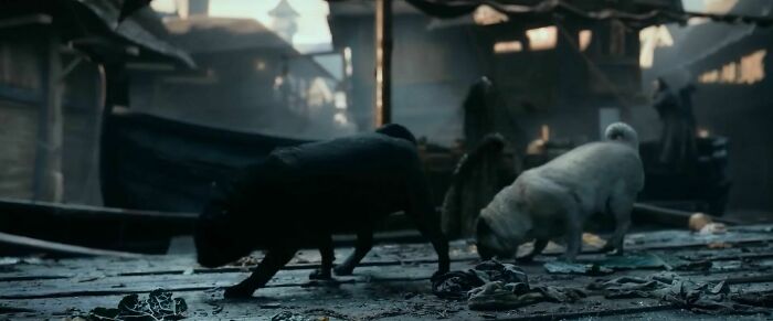 In The Hobbit: The Desolation Of Smaug (2013), These Pugs Actually Belong To Peter Jackson And His Wife Fran Walsh