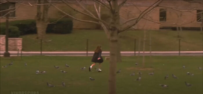 In A Beautiful Mind (2001), Marcee Runs Through A Group Of Birds
