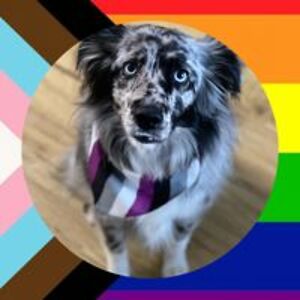 cloud_wolfbane avatar