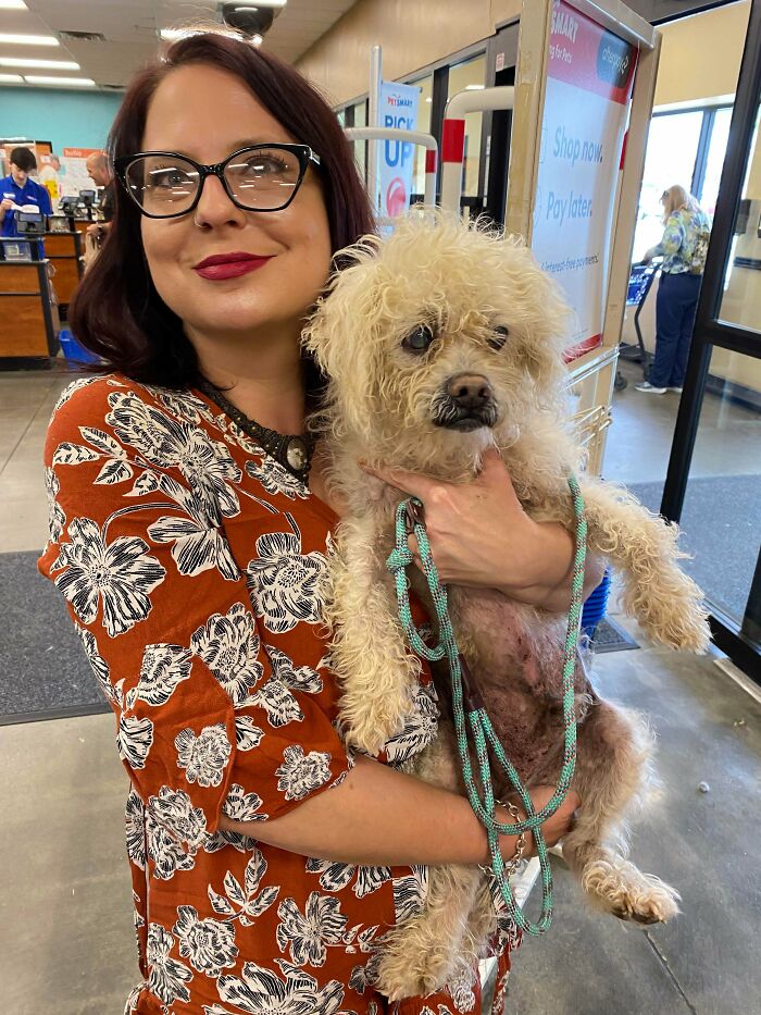 I Made The Greatest Decision, I Adopted A Terminal Dog! I Can't Imagine A Better Way To Honor My Old Dogs. Welcome To Your New Life Cream Puff! Prepare For A Pampered Rest Of Your Life!