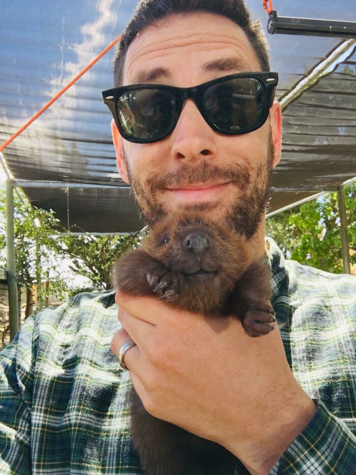 Me hice un selfie con una cría de castor y sonrió para la cámara