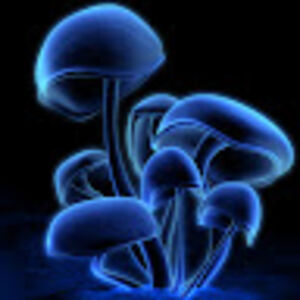 kennethhailey avatar