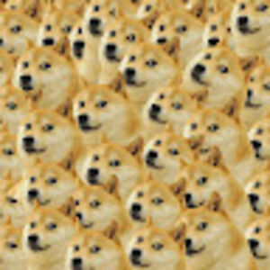 isabellacastillo-garcia avatar