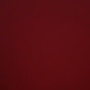 renzotheomatunog-newvilleheightsacademy avatar