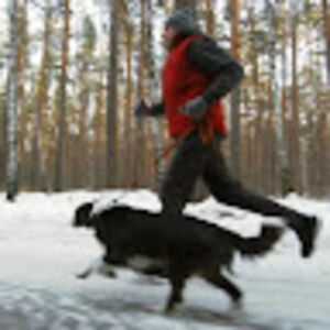 doctor-and-dog avatar