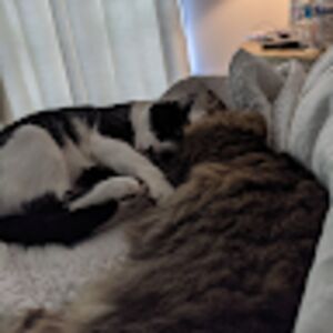 capta1n_park3r avatar