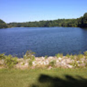 theresastubblefield avatar