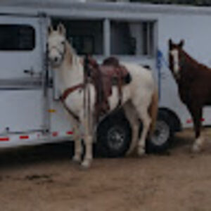 colleenkrieger avatar