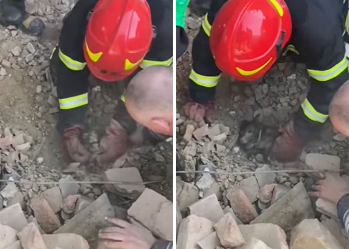 Ukrainian Policemen Pull Puppy Out Of Rubble And Return It To 77-Year-Old Owner Who’d Lost Everything Else