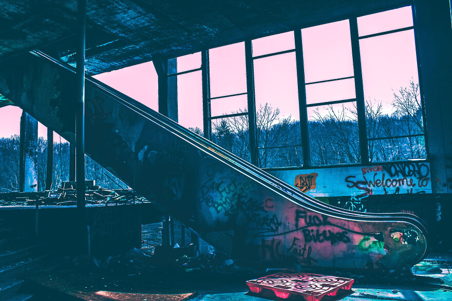 Adventure With Floof…at The Track! Adventure With Floof…at The Track!