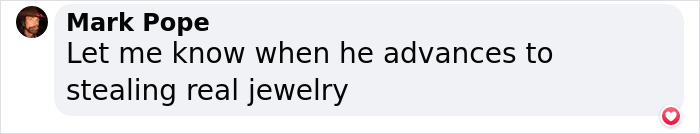 ‘Klepto Cat’ Steals So Many Items From Neighbors, The Family Had To Set Up A Reclamation Shelf ‘Klepto Cat’ Steals So Many Items From Neighbors, The Family Had To Set Up A Reclamation Shelf