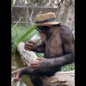 fosterswanson_1 avatar