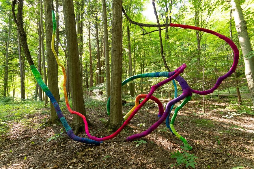 I Turned A Forest Vine Into Rainbow Art