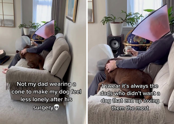 “It’s Always The Dads Who Didn’t Want A Dog That End Up Loving Them The Most”: Dad Wears An E Collar To Lift His Pup’s Spirits After Surgery “It’s Always The Dads Who Didn’t Want A Dog That End Up Loving Them The Most”: Dad Wears An E Collar To Lift His Pup’s Spirits After Surgery