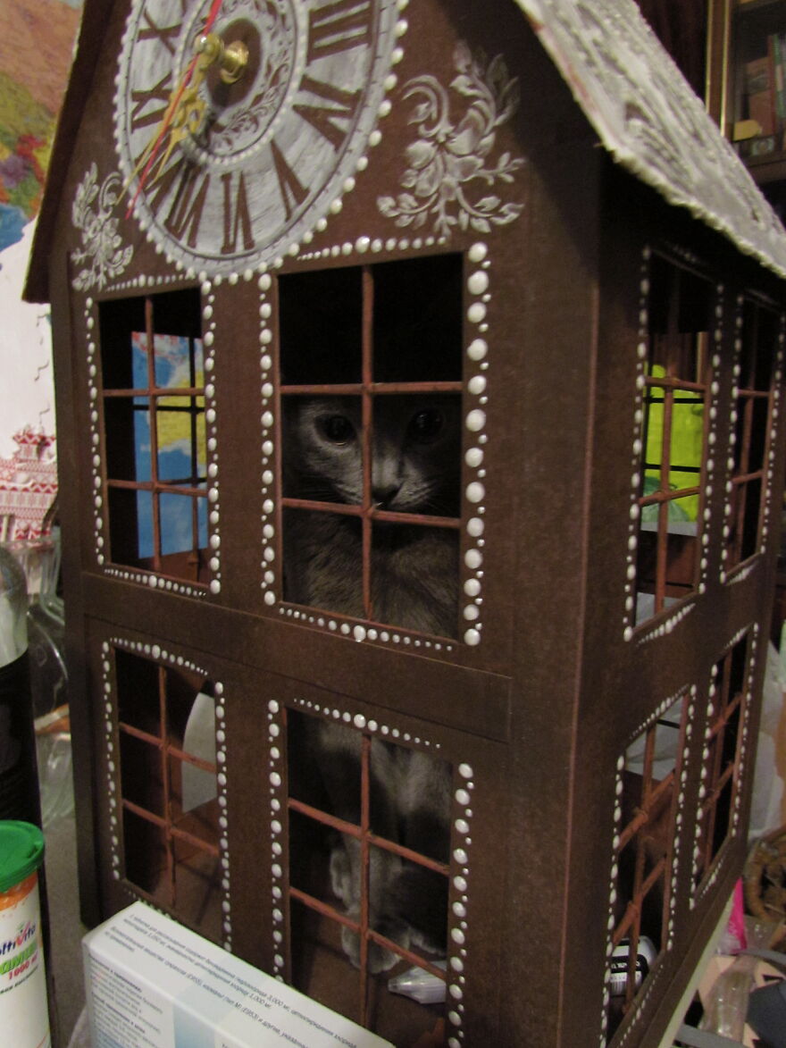 Our Fluffy Talisman: A Homeless Artist Who Is Always On The Go Our Fluffy Talisman: A Homeless Artist Who Is Always On The Go