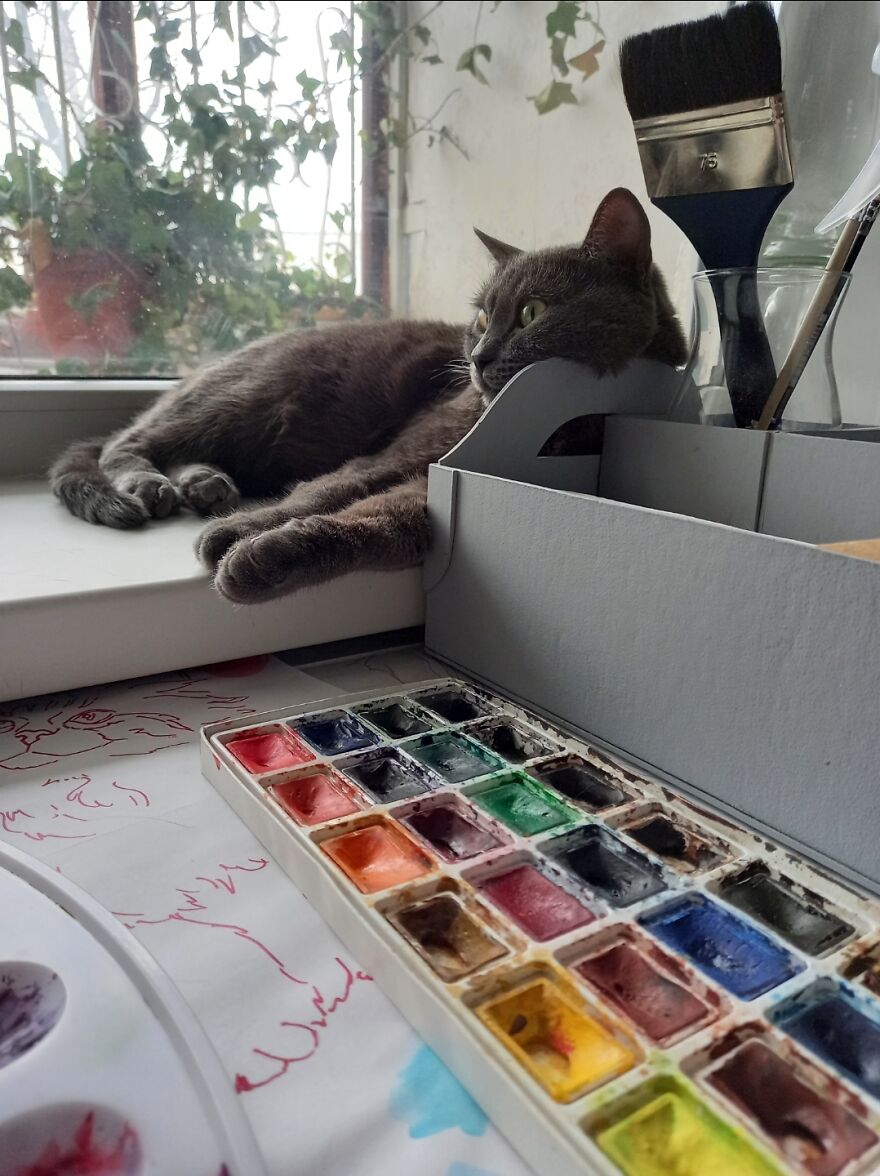 Our Fluffy Talisman: A Homeless Artist Who Is Always On The Go Our Fluffy Talisman: A Homeless Artist Who Is Always On The Go