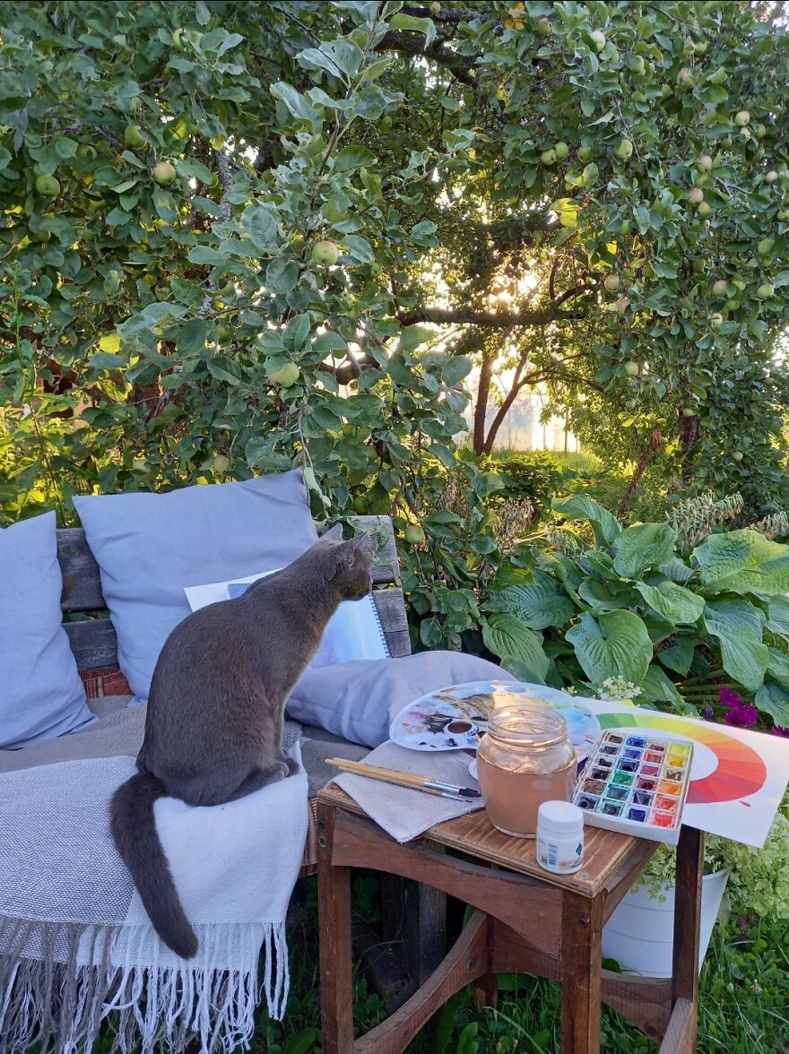 Our Fluffy Talisman: A Homeless Artist Who Is Always On The Go Our Fluffy Talisman: A Homeless Artist Who Is Always On The Go