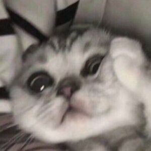 greenbird1334 avatar