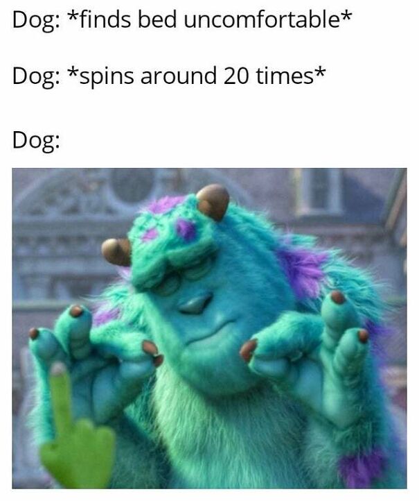 15 Of The Cutest Dog Memes 15 Of The Cutest Dog Memes