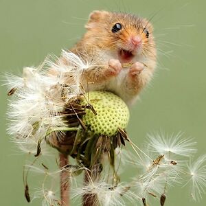 cristinadanalache197 avatar