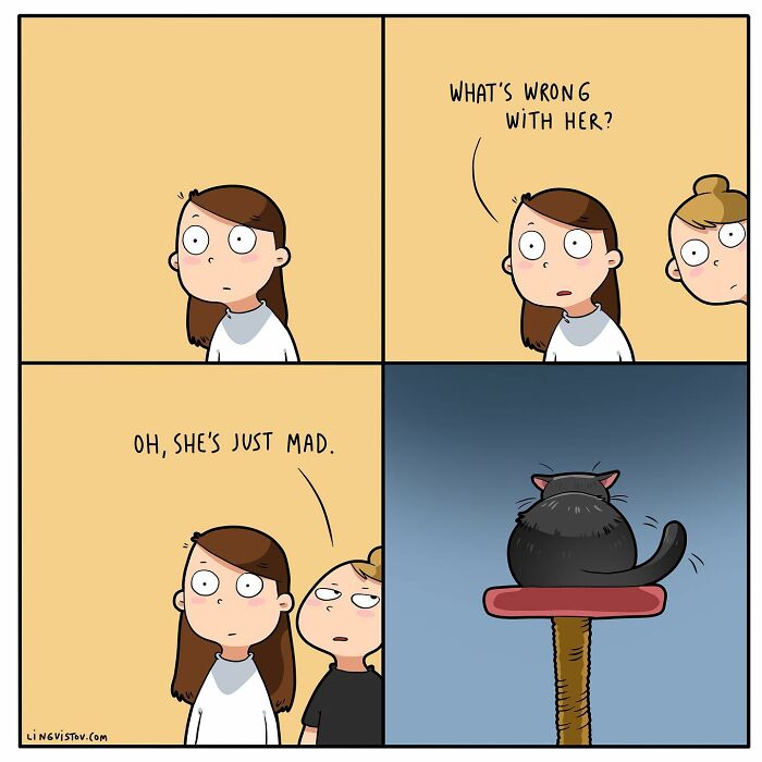 Artist Continues To Draw Comics That Show What It's Like To Live With A Cat (45 New Pics)