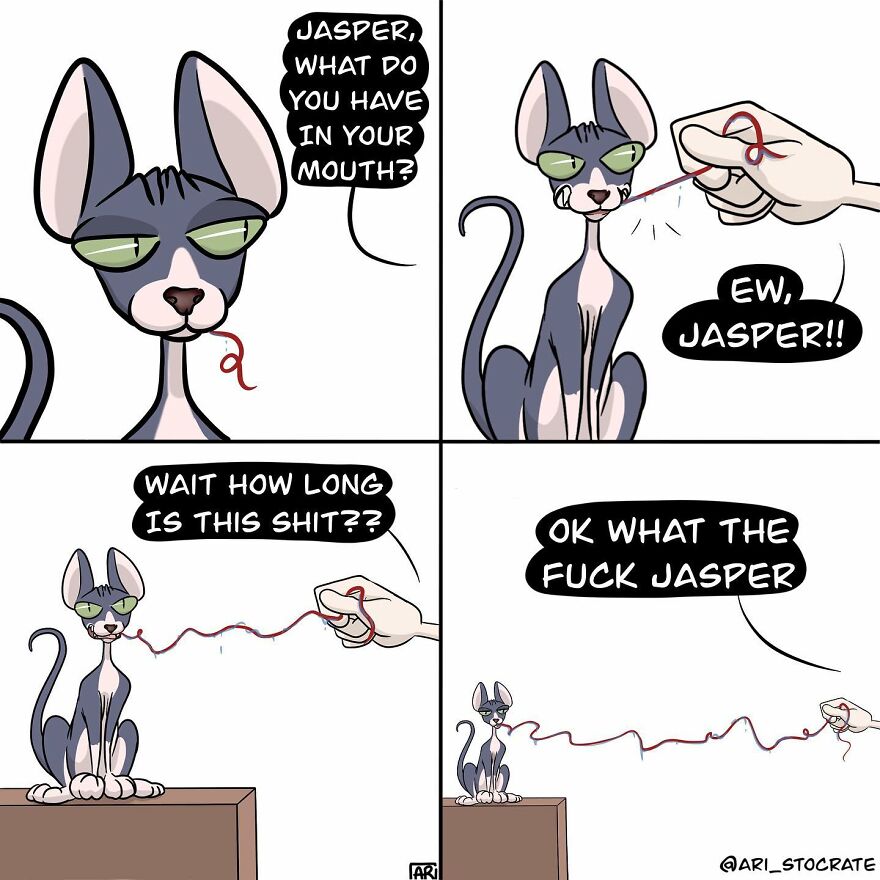 Artist Continues To Illustrate Her Everyday Problems In Cute And Hilarious Comics