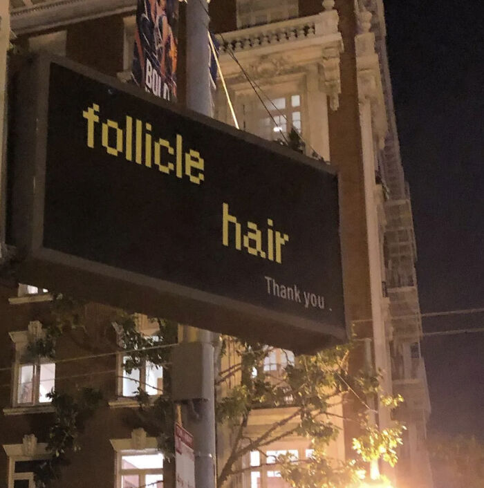 Follicle, Hair, Thank You