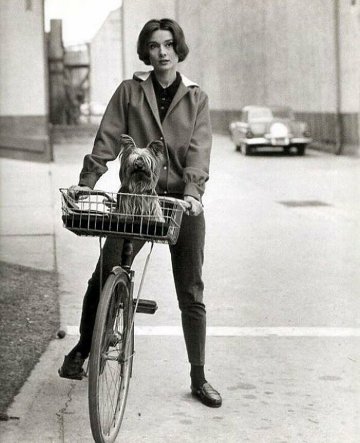 Audrey Hepburn And Her Dog Mr. Famous Photographed By Sid Avery, 1957