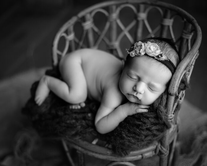 I Love Taking Photos Of Newborn Babies And Their Dogs (10 Pics)