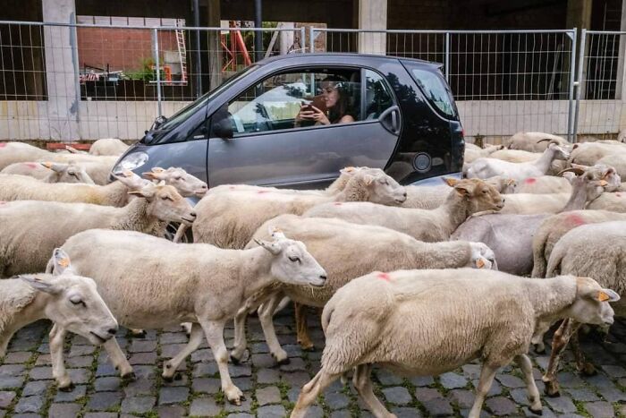 Belgian Photographer Captures Unusual Scenes Of Everyday Life