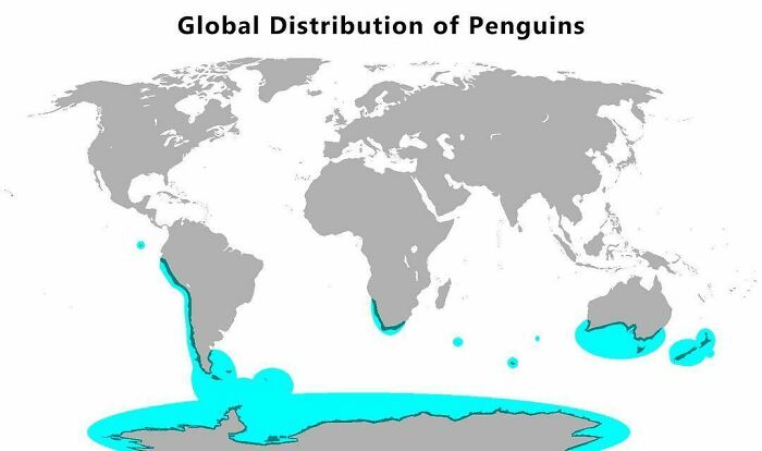 Global Distribution Of Penguins