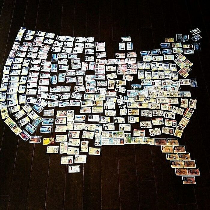 Un bar en Washington hizo un mapa de los Estados Unidos con los documentos de identificación falsos confiscados durante el verano