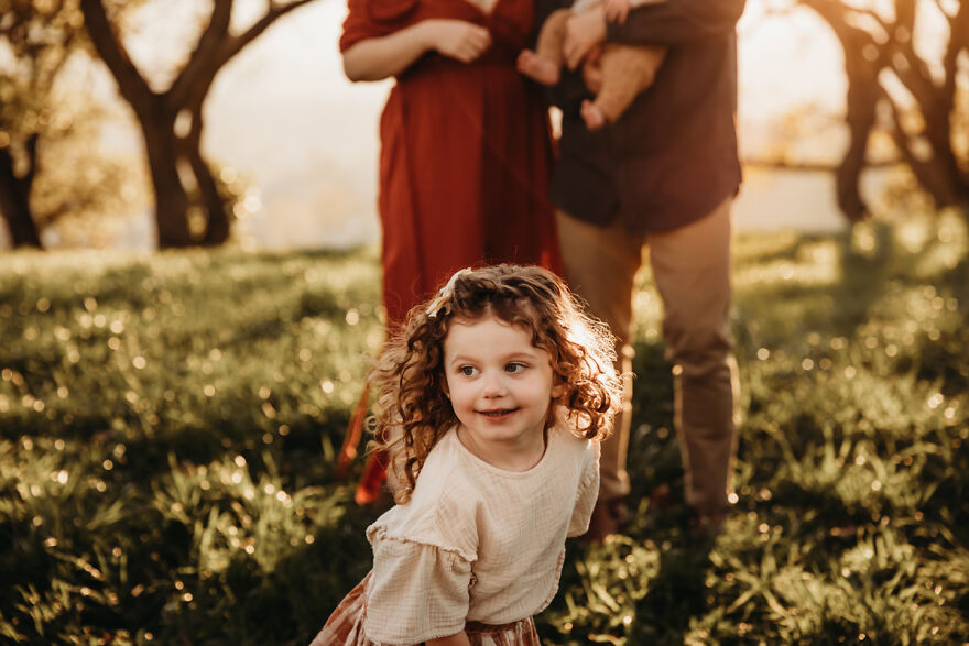 Woody Pastures In Marin