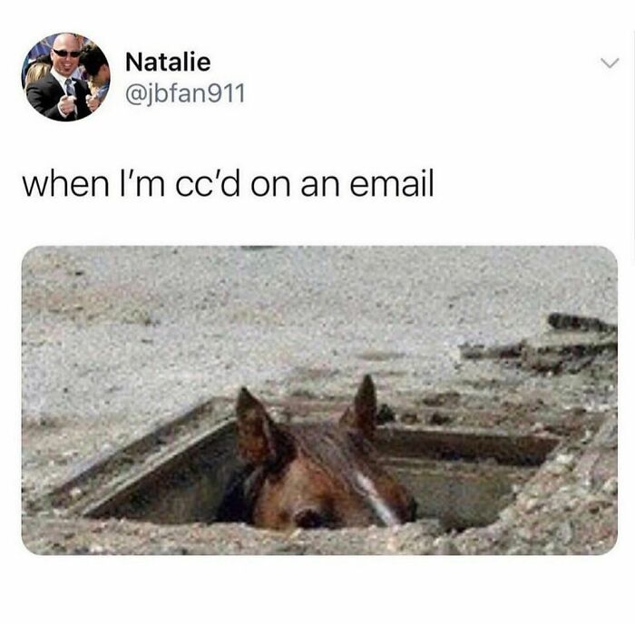 Being On Copy Of An Email Is Pretty Sweet. Being On Blind Copy? Then You Know Something’s About To Go Down.
.
.
.
.
.
#corporatehumor #corporate #humor #worklife #work #wfh #wfhlife #workfromhome #funny #funnymemes #workmeme #workmemes #workprobs #workproblems #workhumor #officelife #officememes #officememe #officehumor