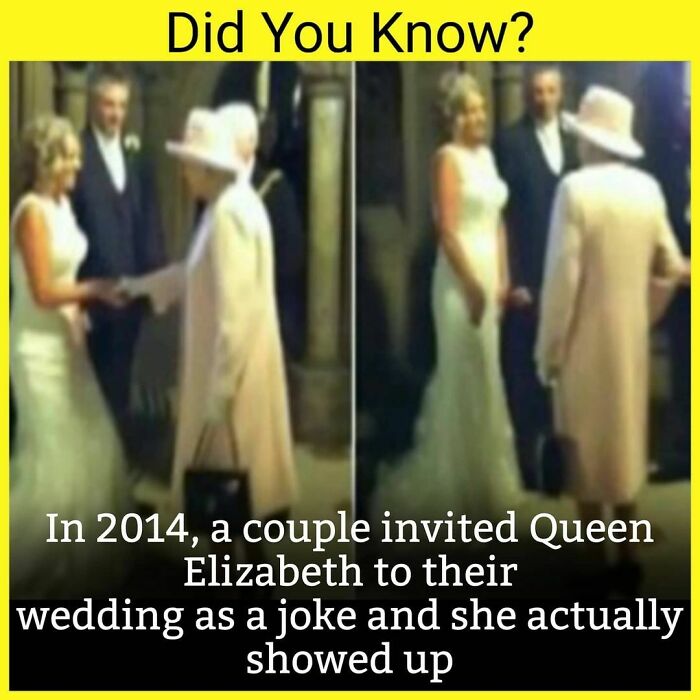 A Delighted Couple Have Told How Their Wedding Day Was Given The Royal Seal Of Approval When The Queen Walked In On The Ceremony.
john And Frances Canning Could Hardly Believe Their Eyes When Her Majesty Accompanied By The Duke Of Edinburgh Walked Into The Room Moments After They Had Tied The Knot At Manchester Town Hall.
go And Try It😂😂🤣