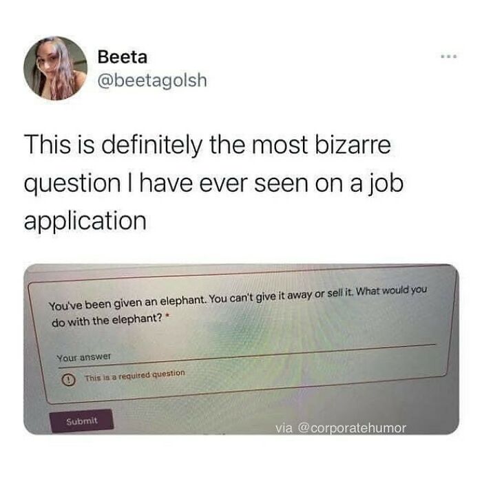 Ok Hr, I See You’re Getting Creative... How Would You Answer This? (Via @beetagolshani)
.
.
.
.
.
#elephant #elephants #elephantsofinstagram #elephantsofinstagram #corporatehumor #corporate #humor #worklife #work #wfh #wfhlife #workfromhome #funny #funnymemes #workmeme #workmemes #workprobs #workproblems #workhumor #officelife #officememes #officememe #officehumor
#meme #memes #memelife #lol #lmao