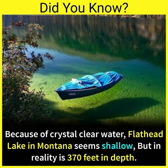 👉follow @_.factopedia For More Unknown & Interesting Facts 😎
like❤️ Comment✍️ Share🚀
save It For Future 🥰
😱 Don't Forget To Check The Interesting Stories 😉
📸 Image Credit To It's Respective Owner
🔔 Turn On Post Notification