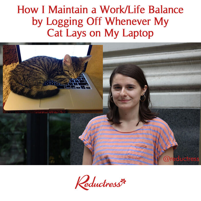 #catstagram #worklifebalance
