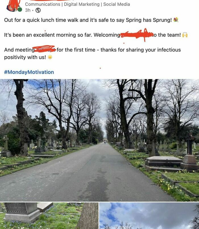 Just Your Casual Spring Time Stroll Through A Fuckin Cemetery