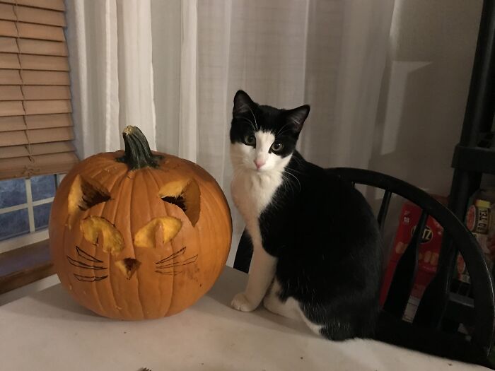 Not The Best Photo But This Is Jack-Jack With A Jack-O-Lantern