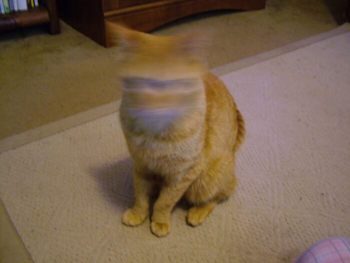 Hubaba-Blehbabado! Meet Scratch! (Sort-Of)