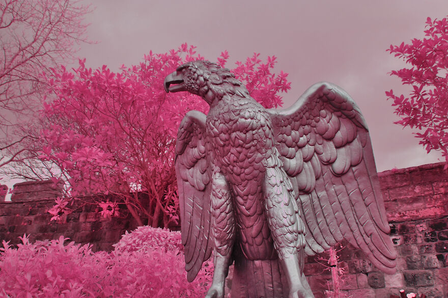 I Am A Newbie Infrared Photographer And Here Are Some Of My Best Pics So Far (15 Pics)