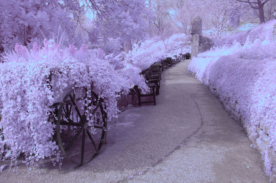 I Am A Newbie Infrared Photographer And Here Are Some Of My Best Pics So Far (15 Pics)