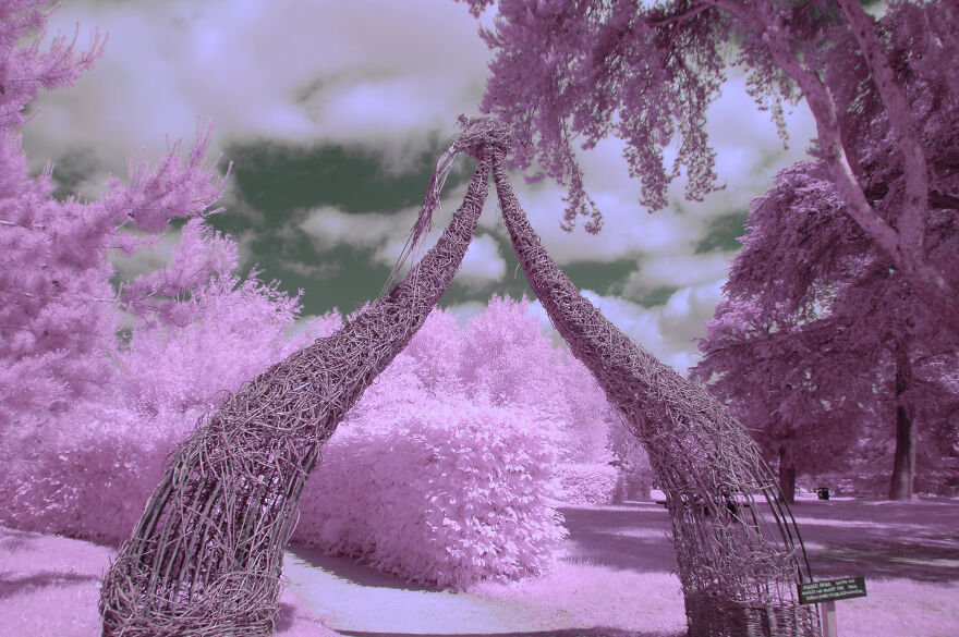 I Am A Newbie Infrared Photographer And Here Are Some Of My Best Pics So Far (15 Pics)